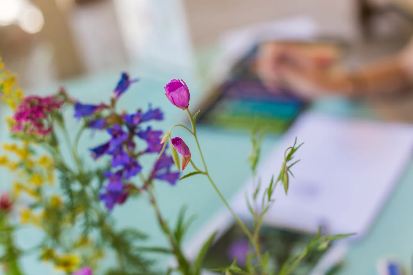 Cultivating the Wild: Native Gardens Tour and 90th Birthday Celebration