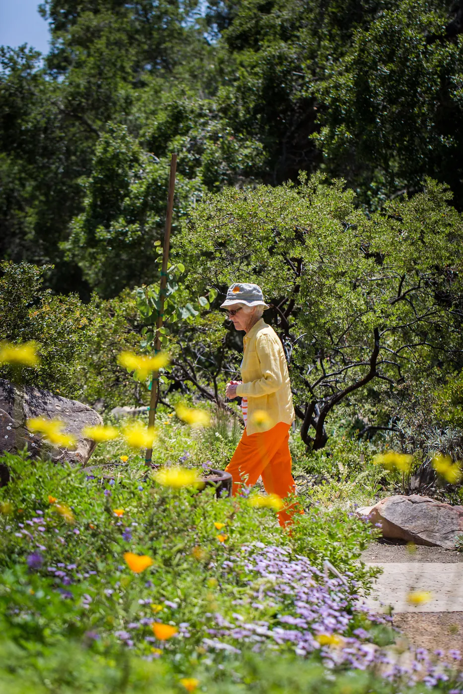 Cultivating the Wild: Native Gardens Tour and 90th Birthday Celebration, Cathy Rose