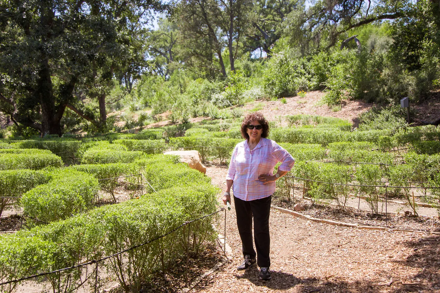 Cultivating the Wild: Native Gardens Tour and 90th Birthday Celebration, Centennial Maze, Lenore Hughes