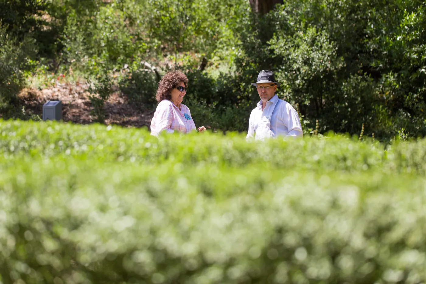Cultivating the Wild: Native Gardens Tour and 90th Birthday Celebration, Centennial Maze, Lenore Hughes, Steve Windhager