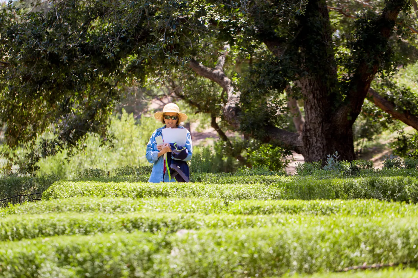 Cultivating the Wild: Native Gardens Tour and 90th Birthday Celebration, Centennial Maze