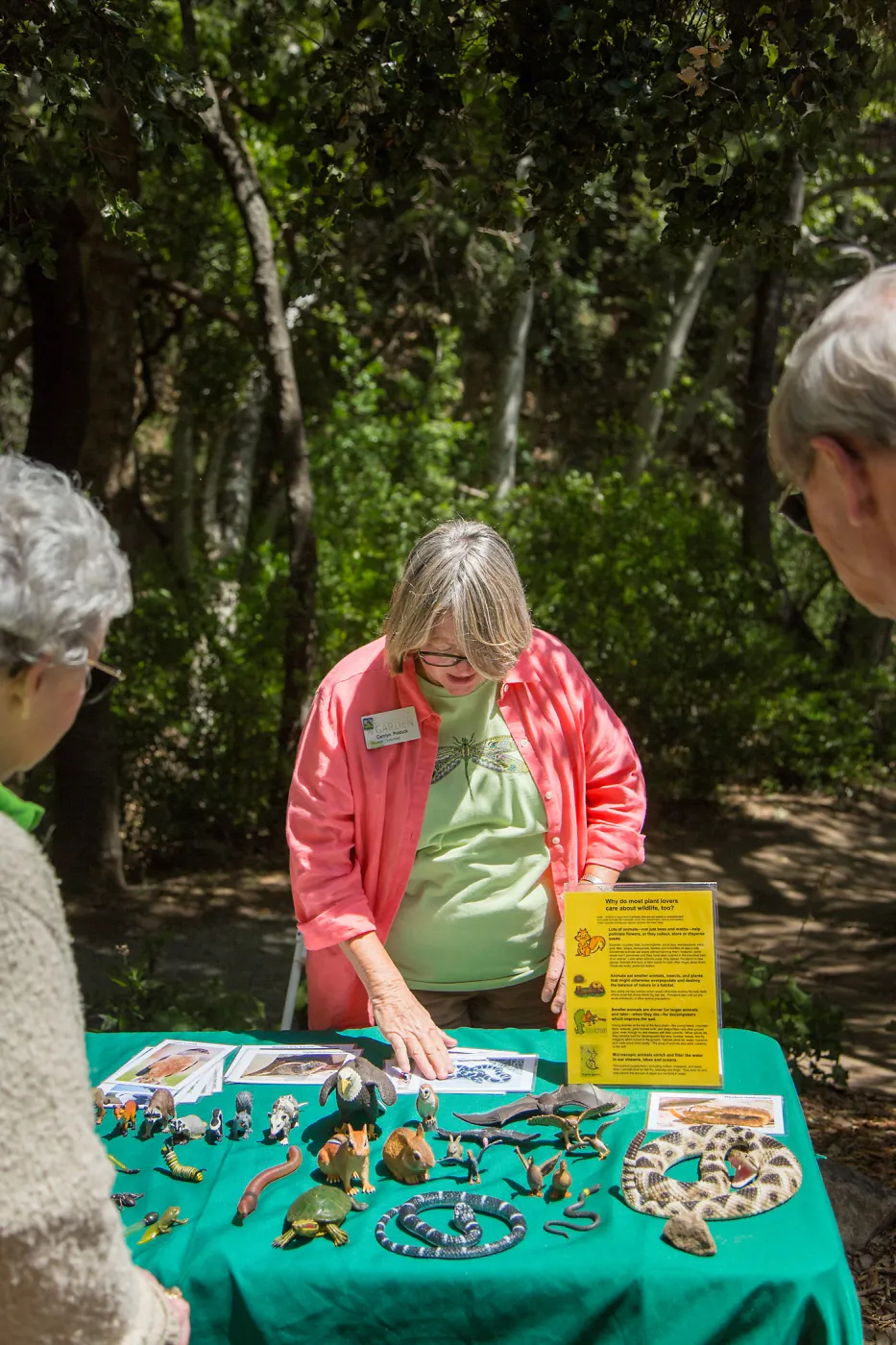 Cultivating the Wild: Native Gardens Tour and 90th Birthday Celebration, Plant-Animal Interaction Display, Carolynn Pidduck