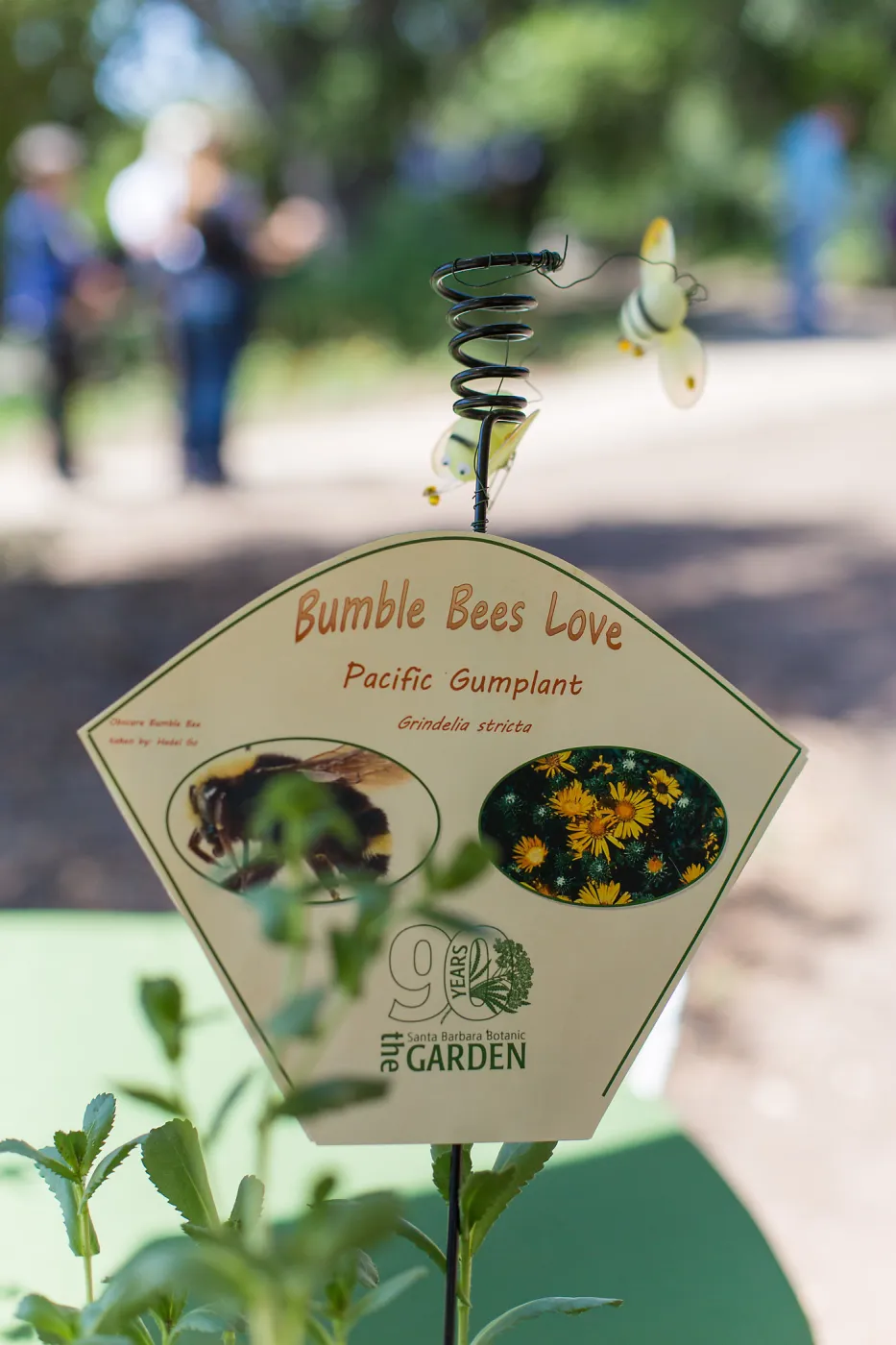 Cultivating the Wild: Native Gardens Tour and 90th Birthday Celebration, Bumble Bee Plant Quest