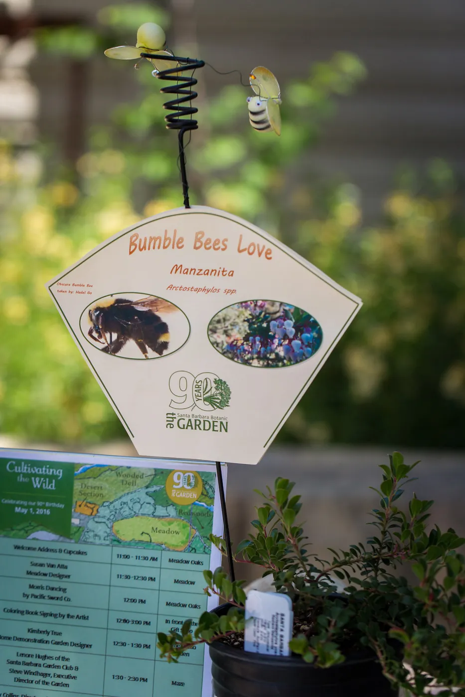 Cultivating the Wild: Native Gardens Tour and 90th Birthday Celebration, Bumble Bee Plant Quest