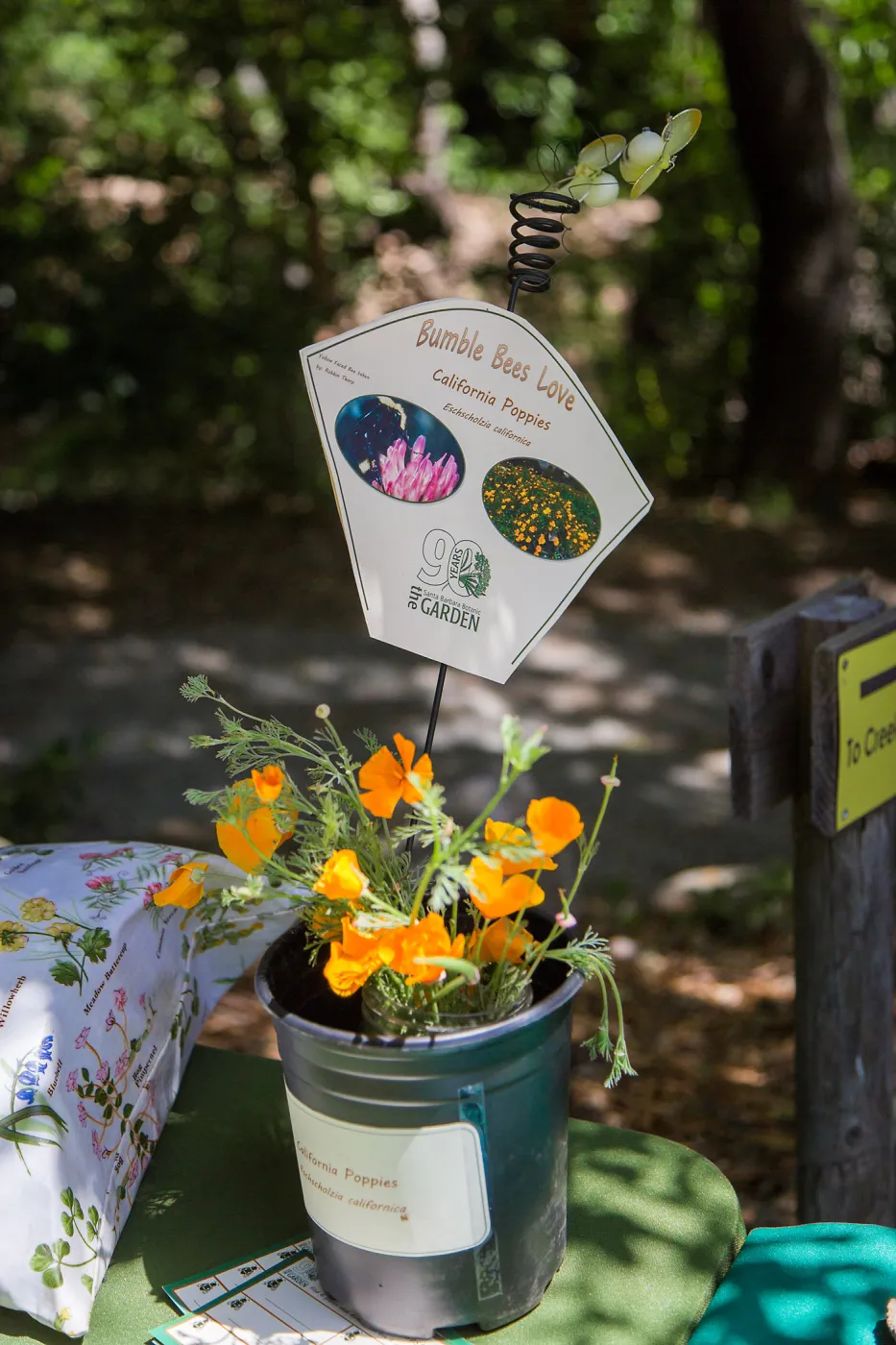 Cultivating the Wild: Native Gardens Tour and 90th Birthday Celebration, Bumble Bee Plant Quest