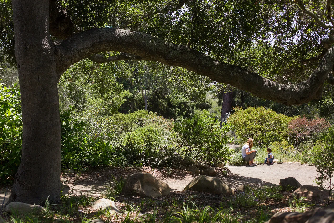 Cultivating the Wild: Native Gardens Tour and 90th Birthday Celebration