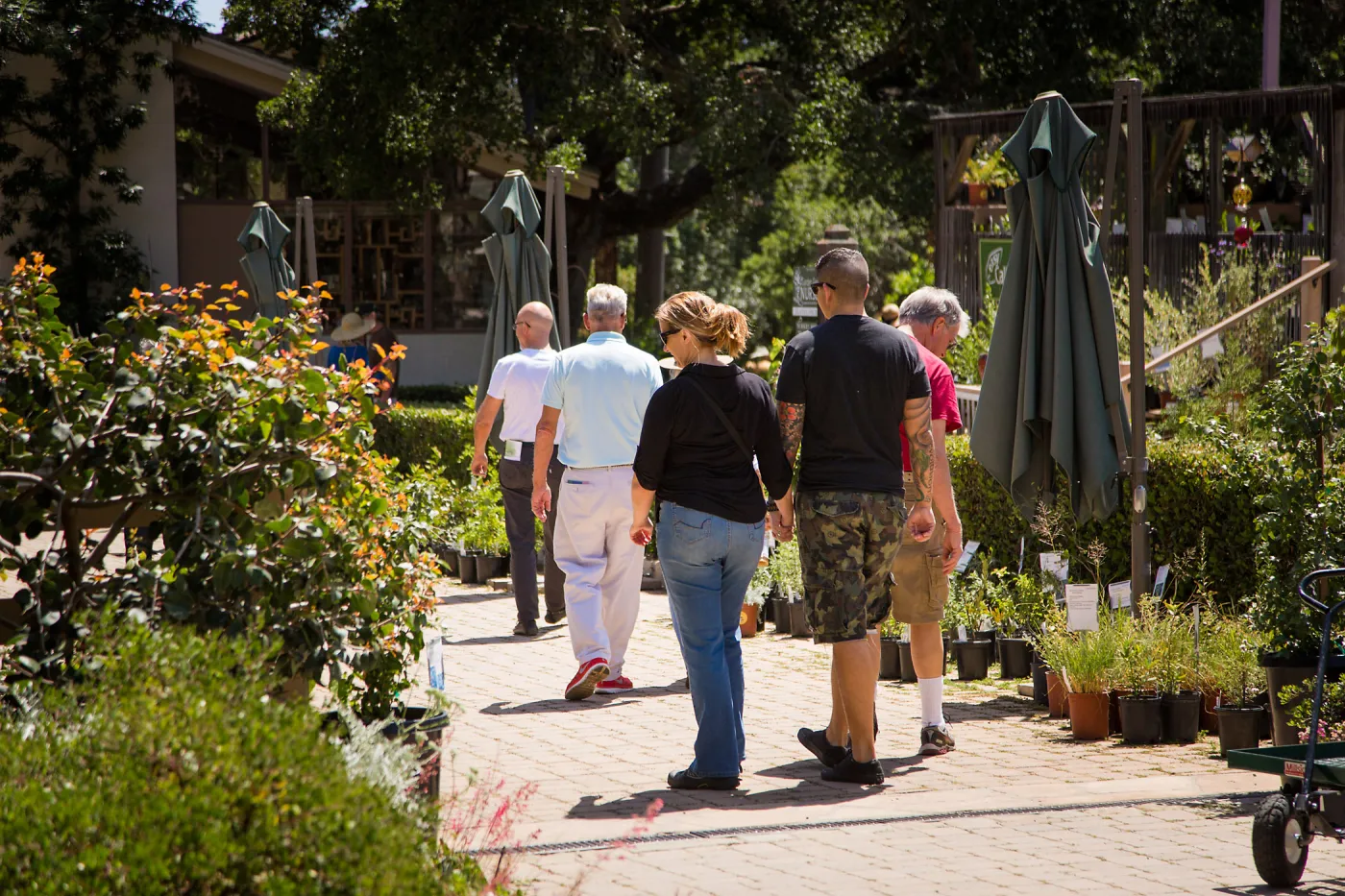 Cultivating the Wild: Native Gardens Tour and 90th Birthday Celebration, plant sale in Courtyard