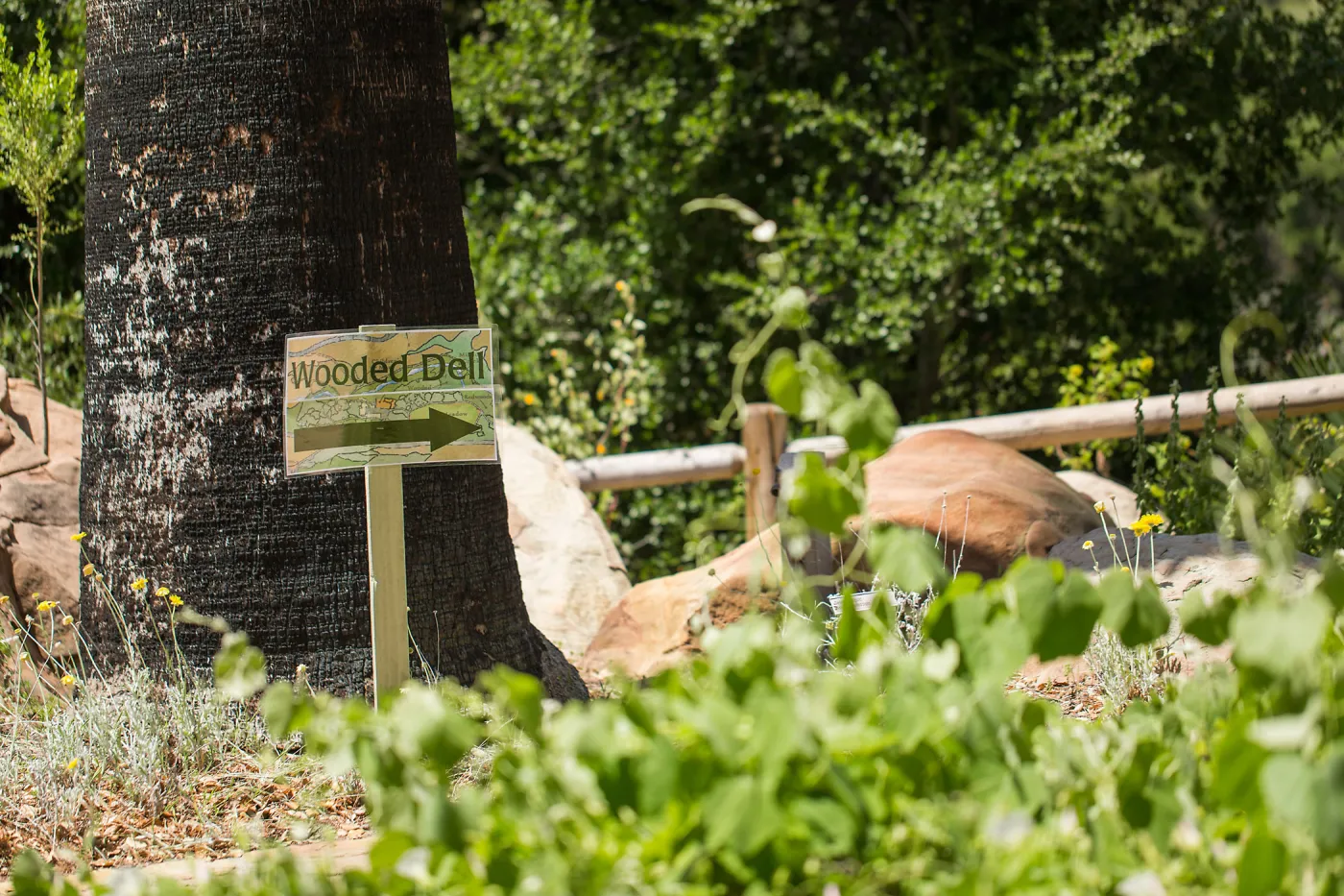Cultivating the Wild: Native Gardens Tour and 90th Birthday Celebration