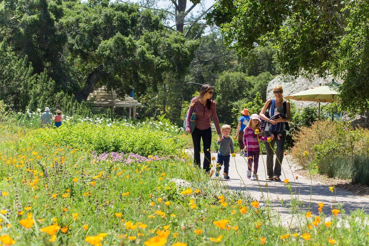 Cultivating the Wild: Native Gardens Tour and 90th Birthday Celebration