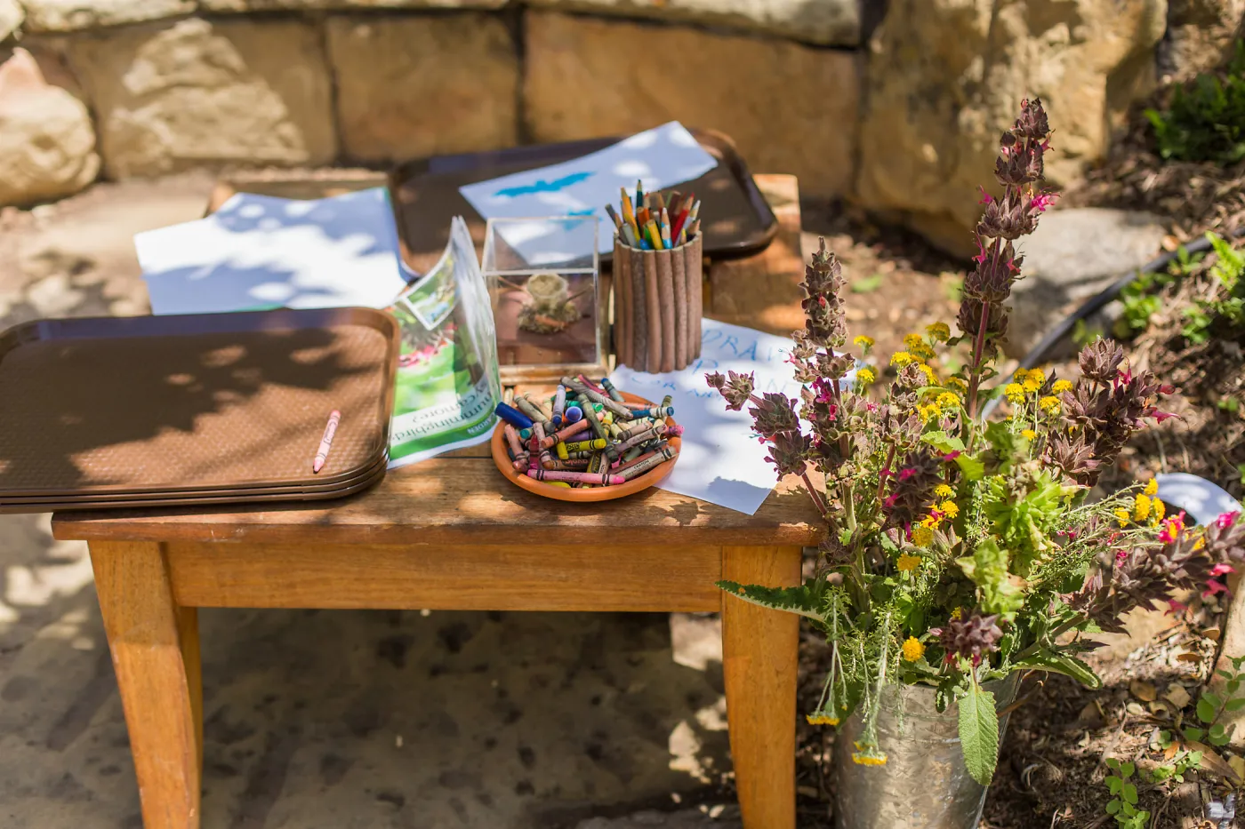 Cultivating the Wild: Native Gardens Tour and 90th Birthday Celebration