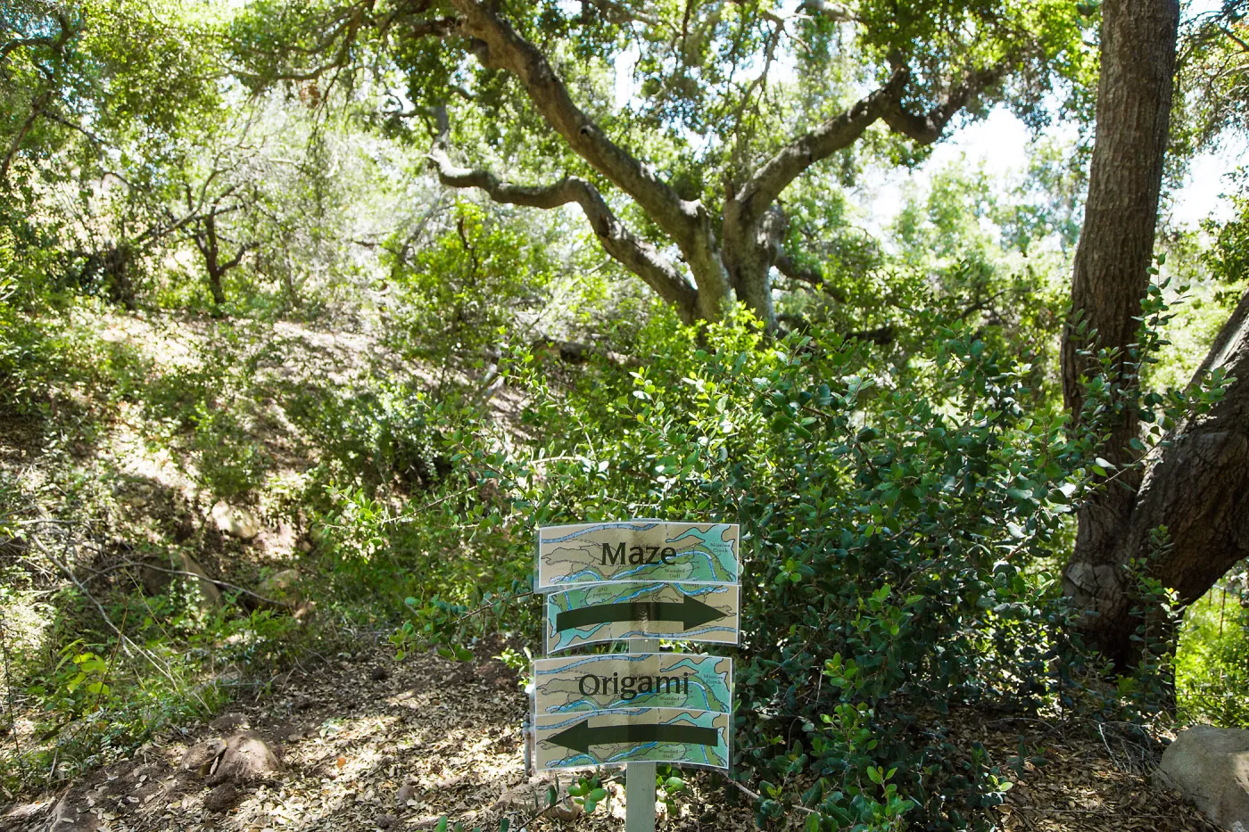 Cultivating the Wild: Native Gardens Tour and 90th Birthday Celebration