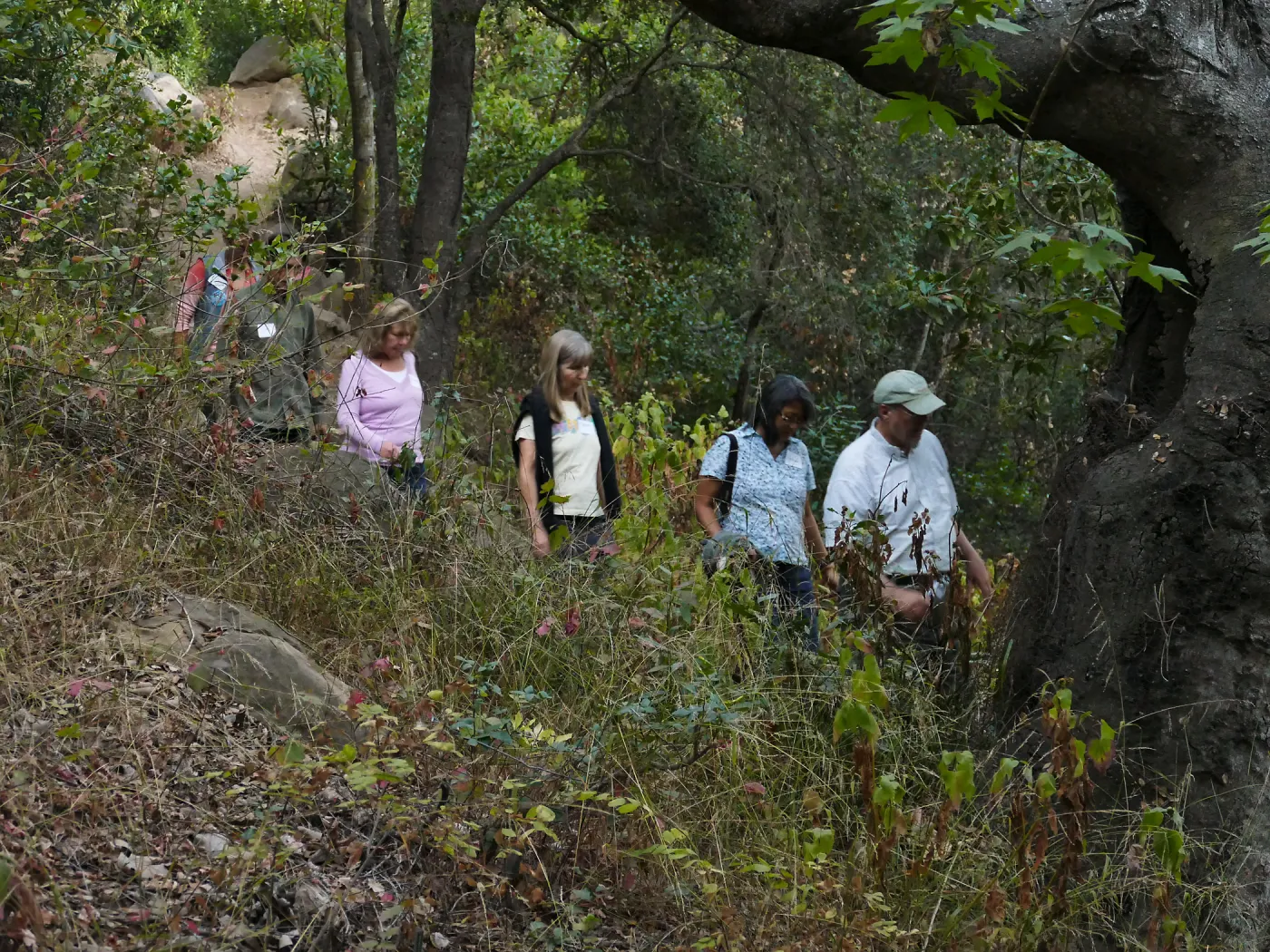 Member Appreciation Month, Full Moon Hike, hikers in Canyon