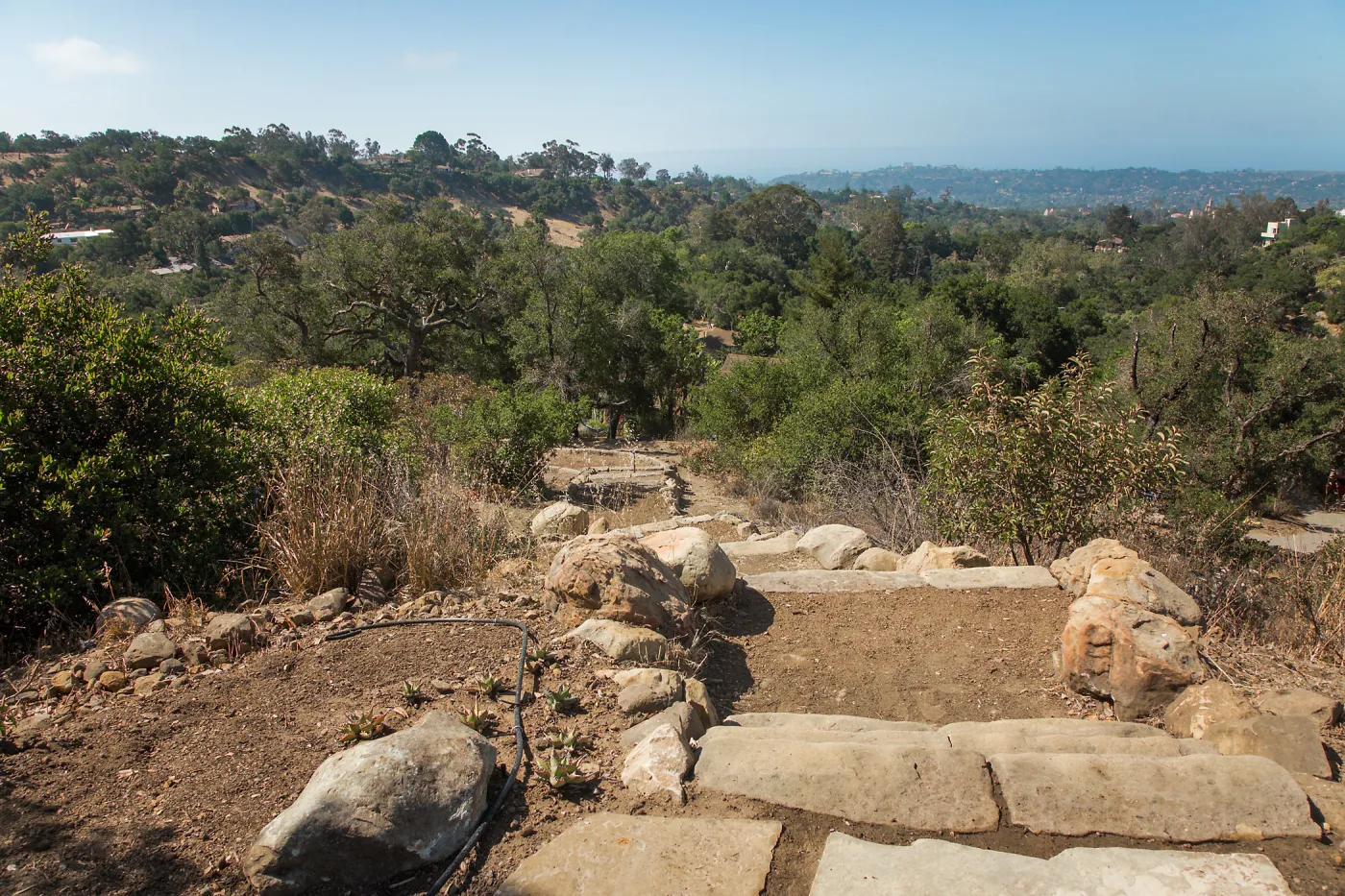 Pritzlaff Conservation Center Ribbon Cutting Celebration, guests exploring the newly planted Island View Garden