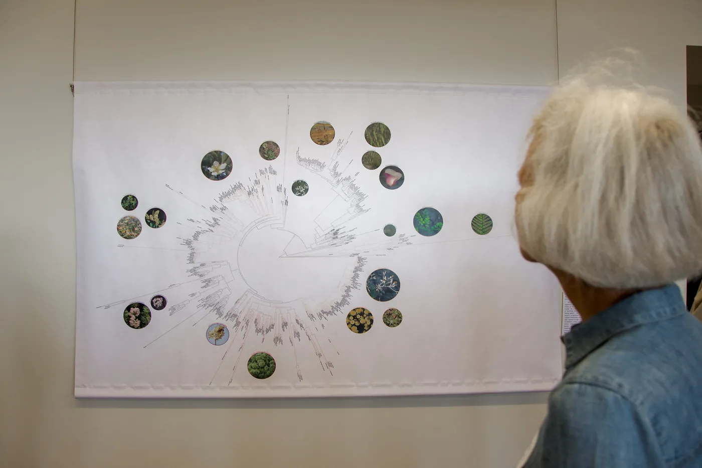 Pritzlaff Conservation Center Ribbon Cutting Celebration