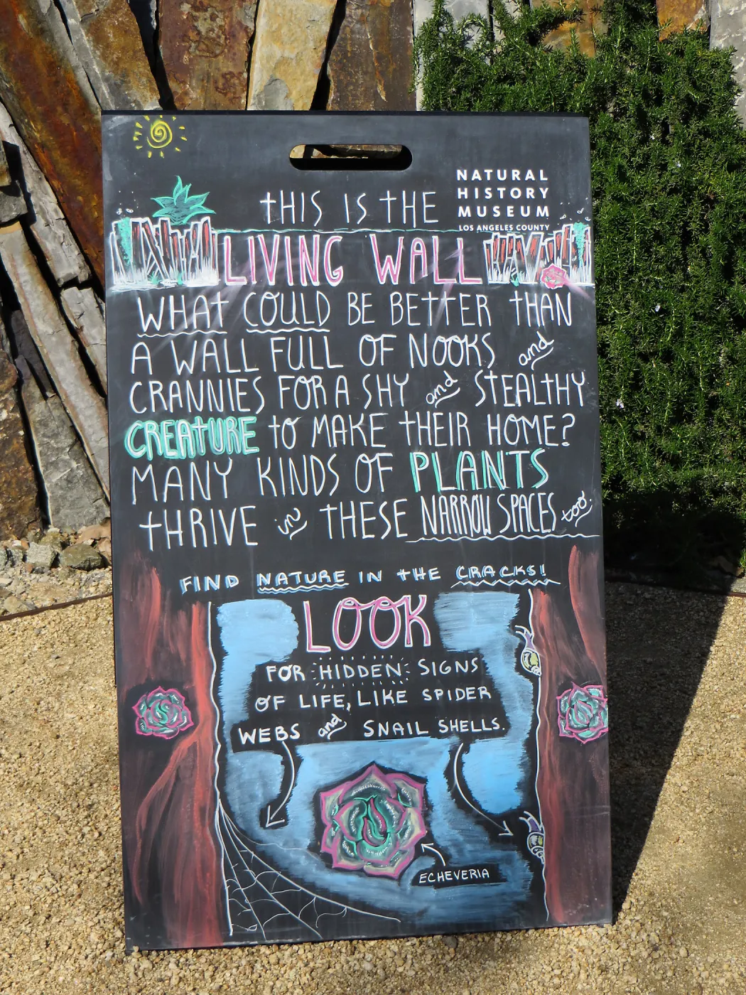 Natural History Museum of Los Angeles, Nature Gardens, Rock Wall, aka Living Wall signage