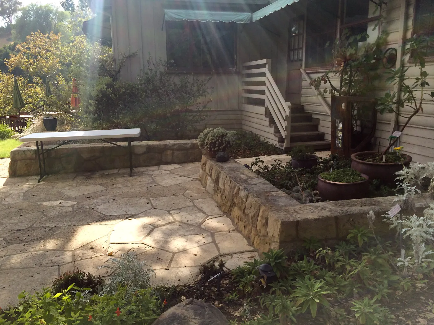 Home Demo Garden