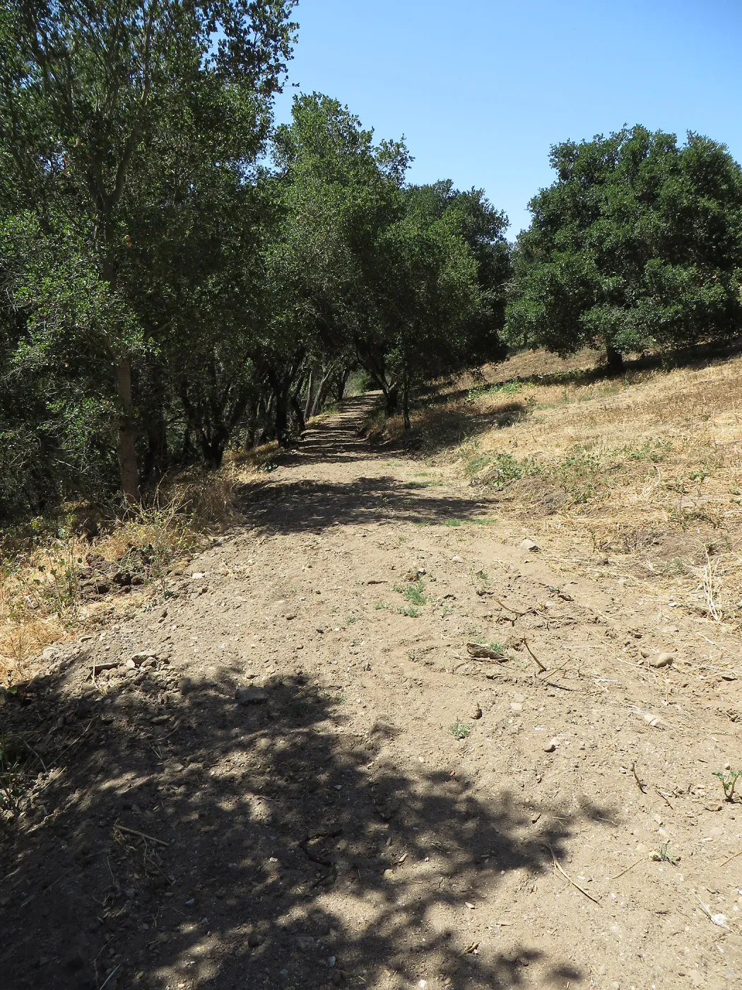 Excess soil deposited on east slope trail