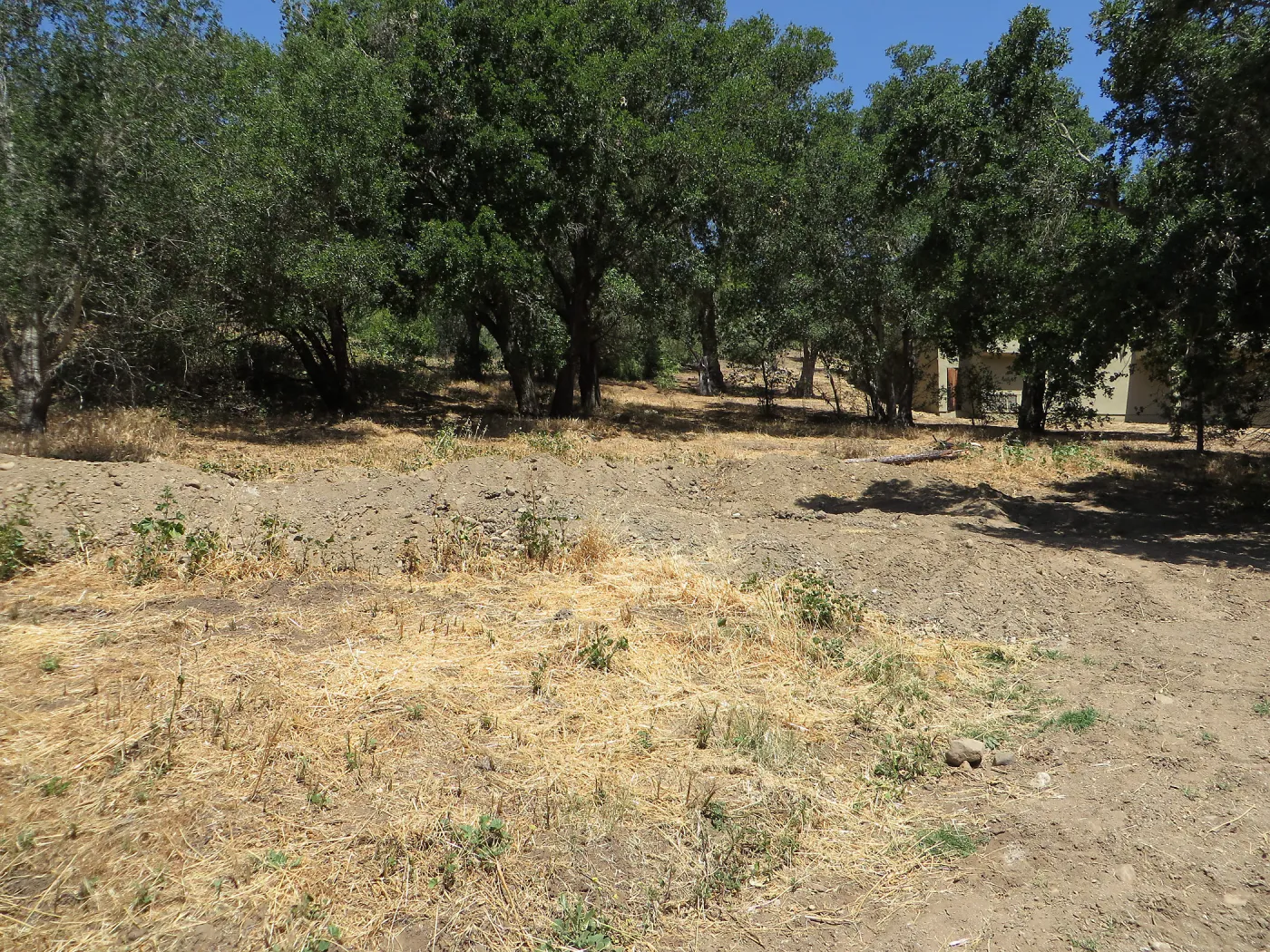 Excess soil deposited on east slope trail