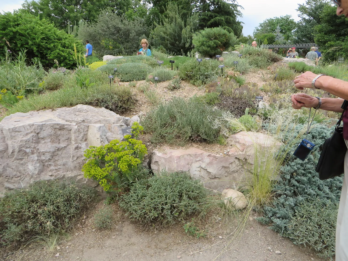 Denver Botanic Garden, APGA meeting