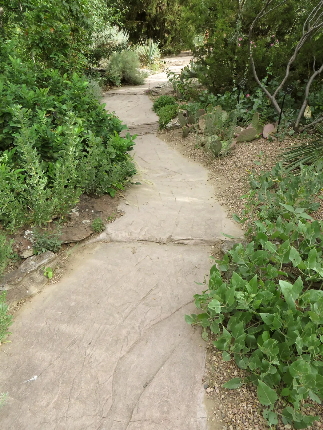Denver Botanic Garden, APGA meeting