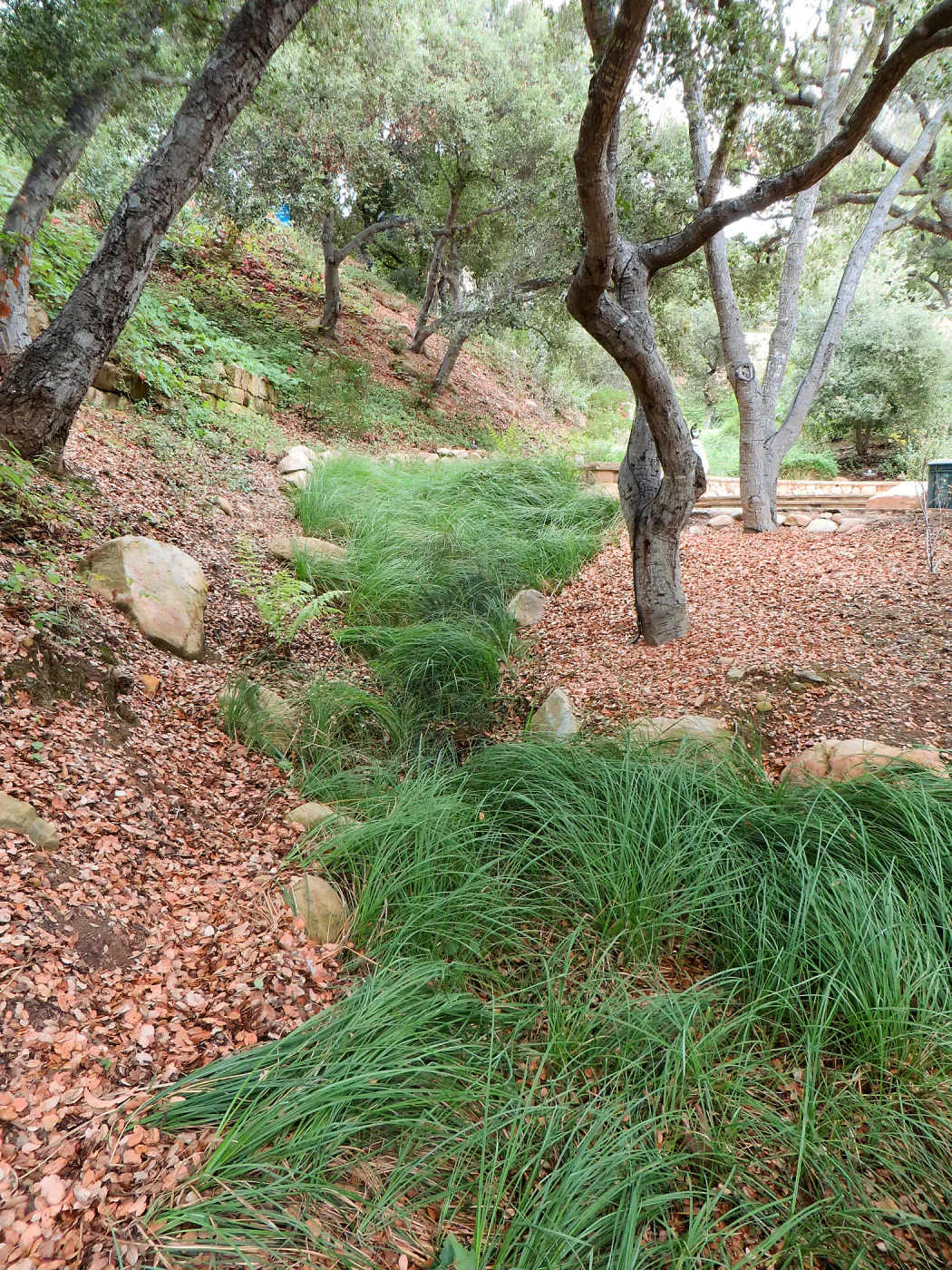 Santa Barbara County Bowl garden, designed by Susan van Atta