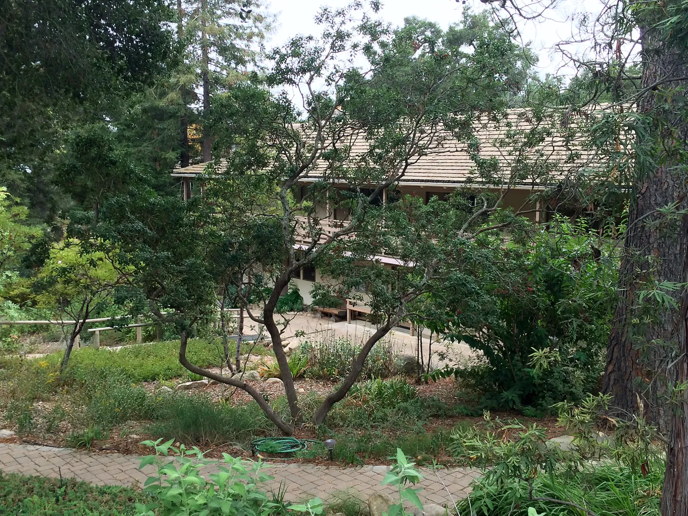 SBBG, looking down on Garden Shop and Arroyo Room from entrance walk
