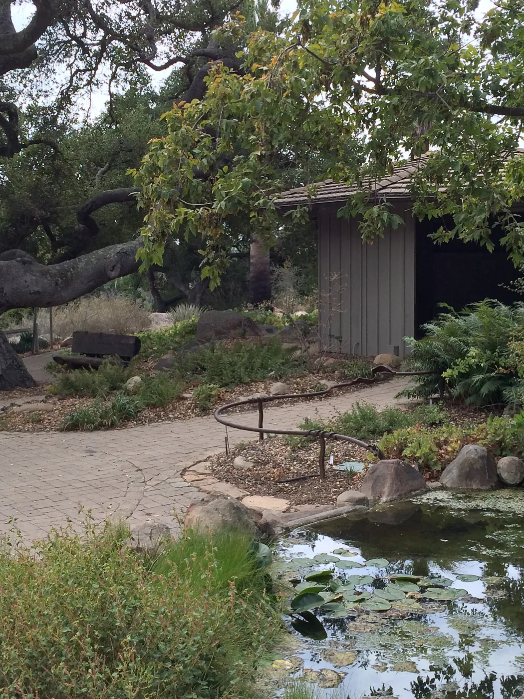 Information Kiosk with Pond in foreground