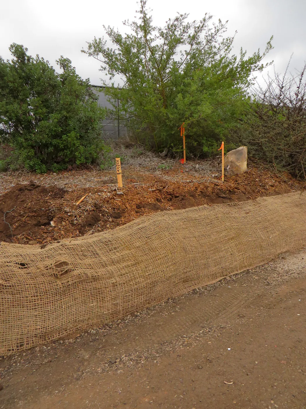 Road to Pritzlaff site