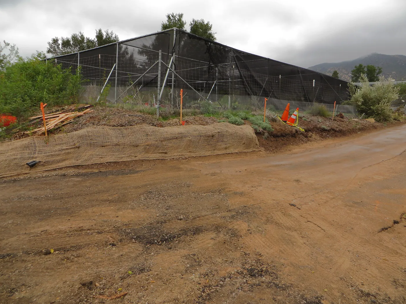 Road behind Hort unit, towards Pritzlaff site