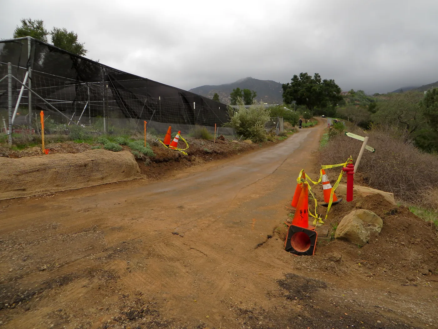 Road behind Hort unit, towards Pritzlaff site