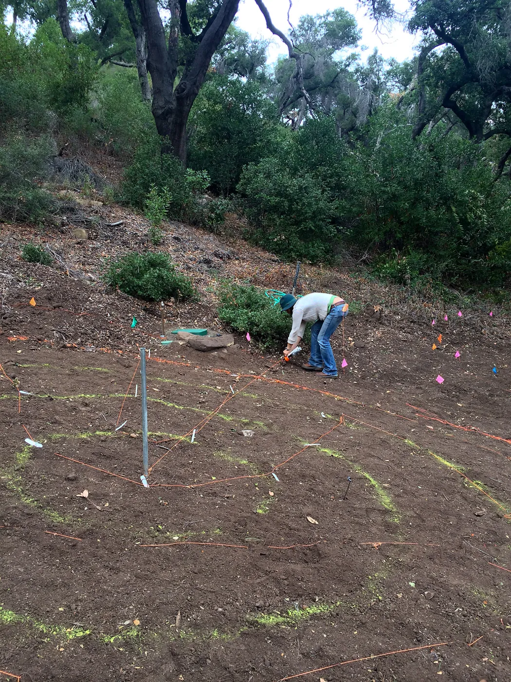 Betsy Lape working on the Maze