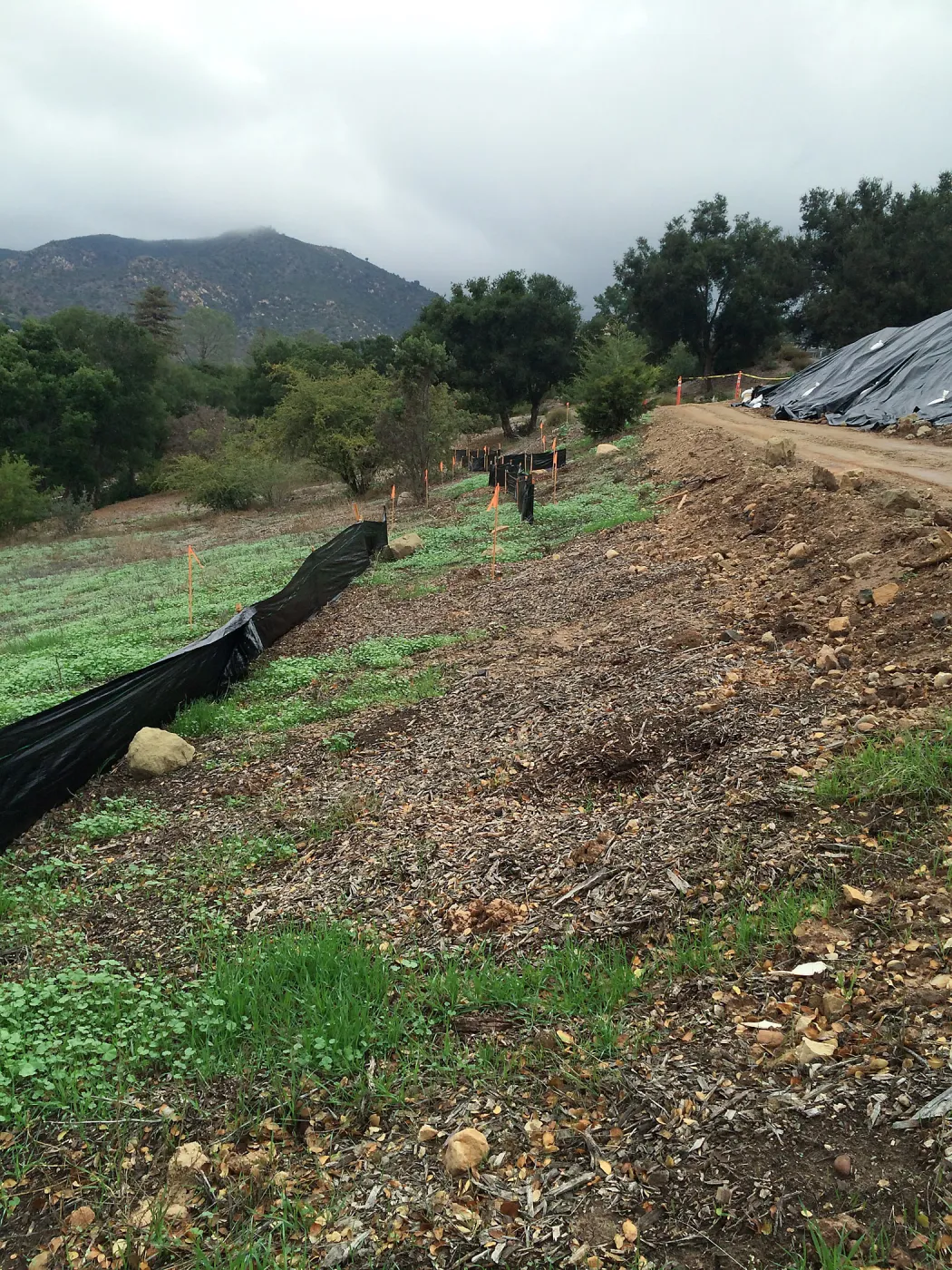 Pritzlaff construction site, route of new cart path