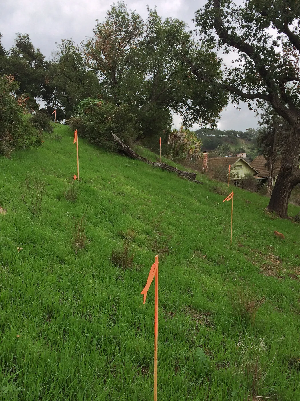 Pritzlaff Construction site, route of new cart path