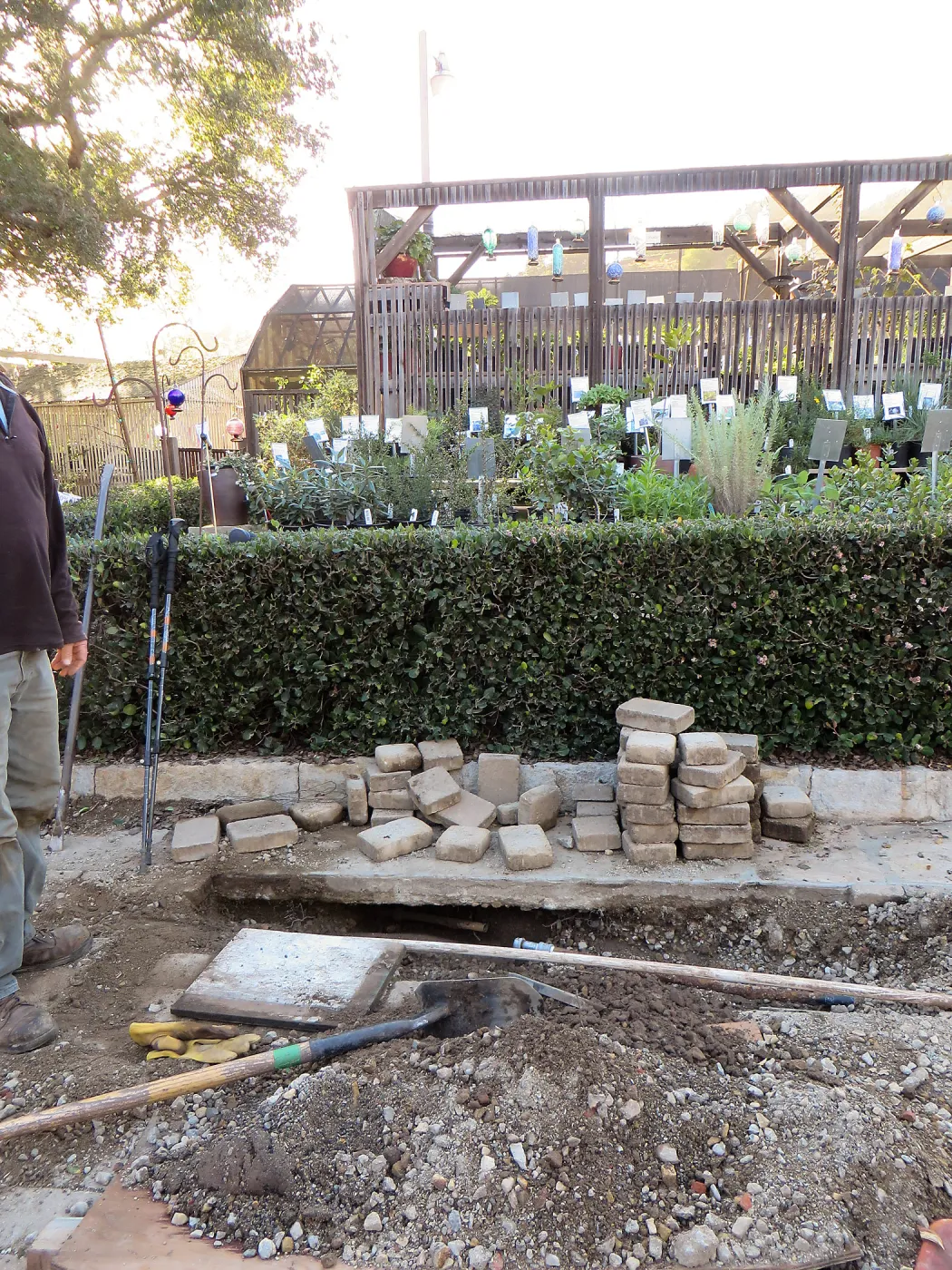 Repair of water line in Courtyard