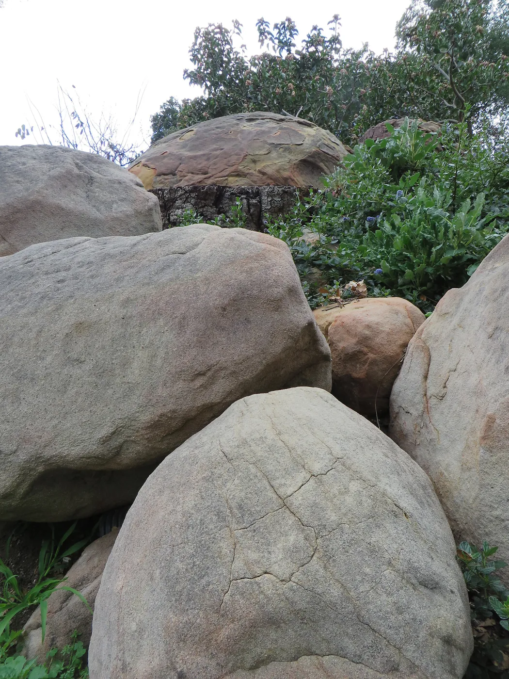 Boulders in Manzanita Section