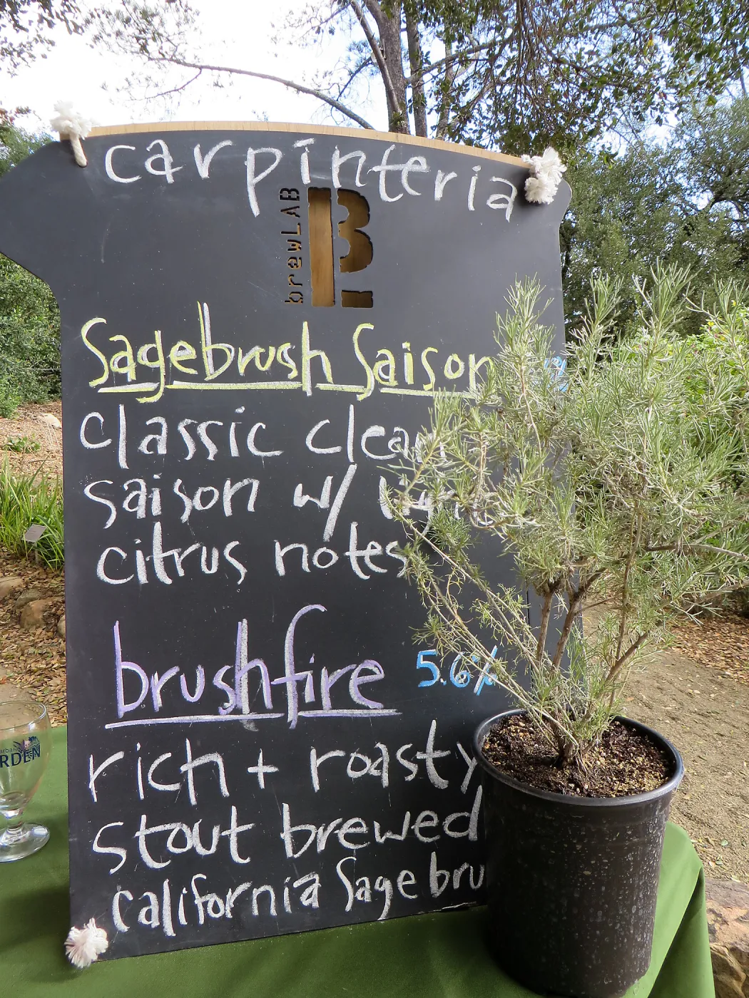 SBBG Beer Fest