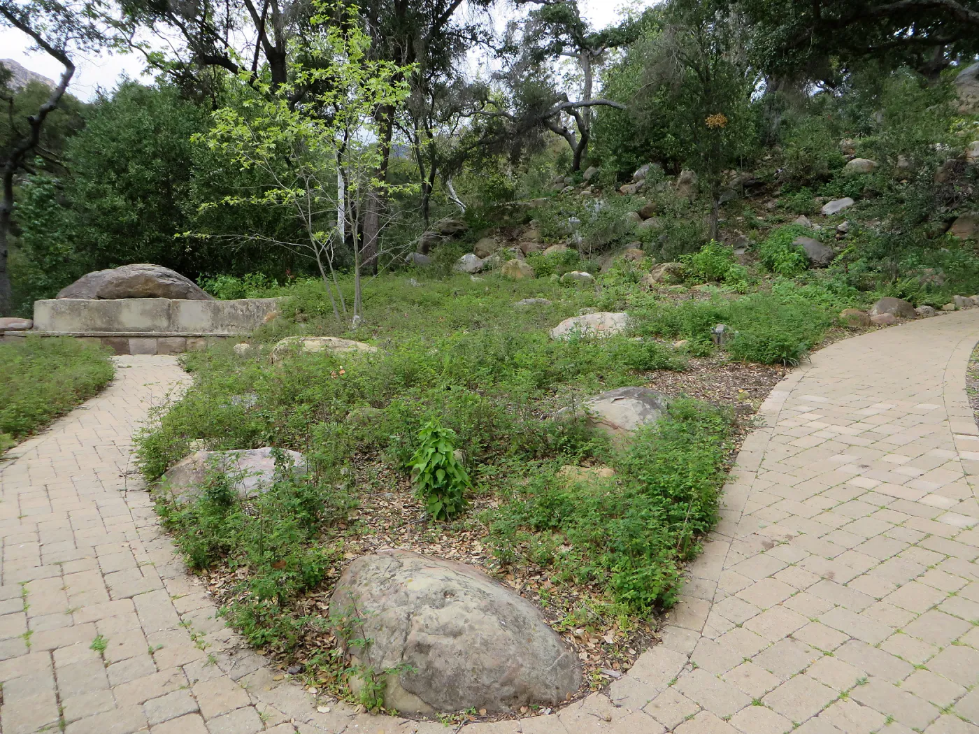 Wooded Dell