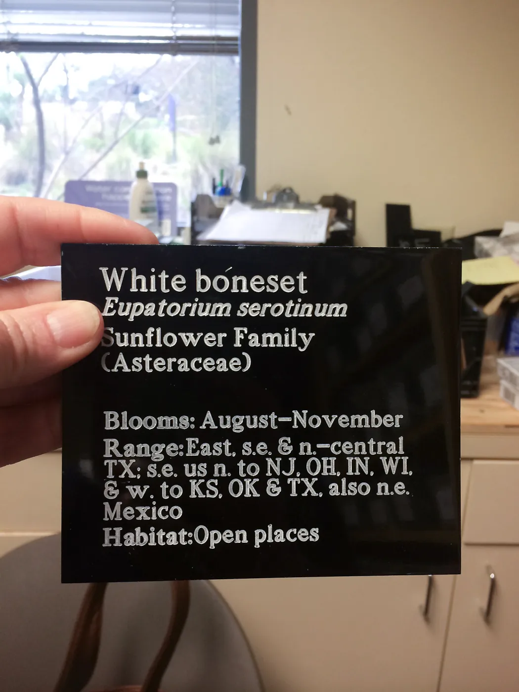 Information labels at Lady Bird Johnson Wildflower Center