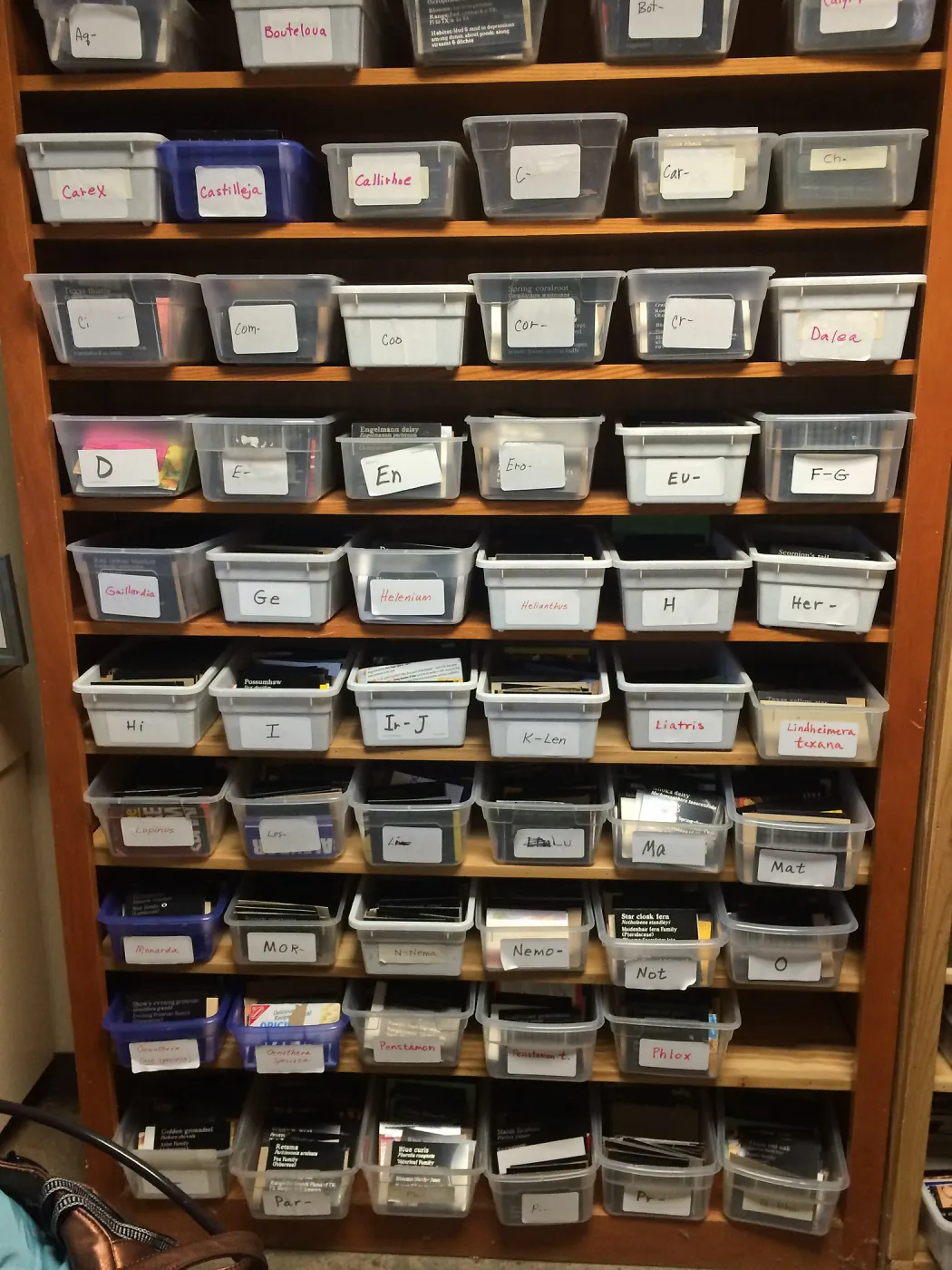 Information labels at Lady Bird Johnson Wildflower Center