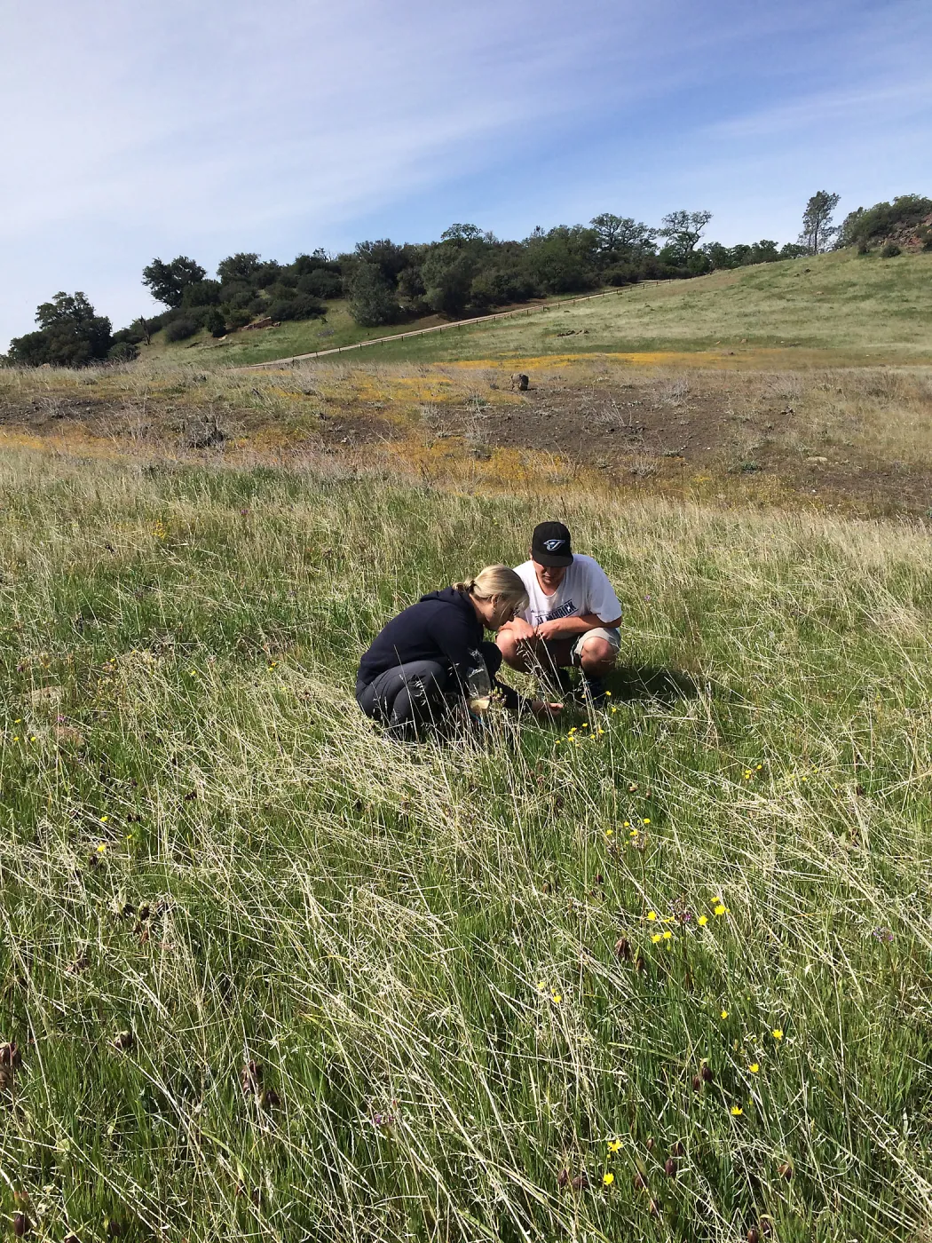 Figeuroa Mtn, wildflower hunters at Fritillaria site