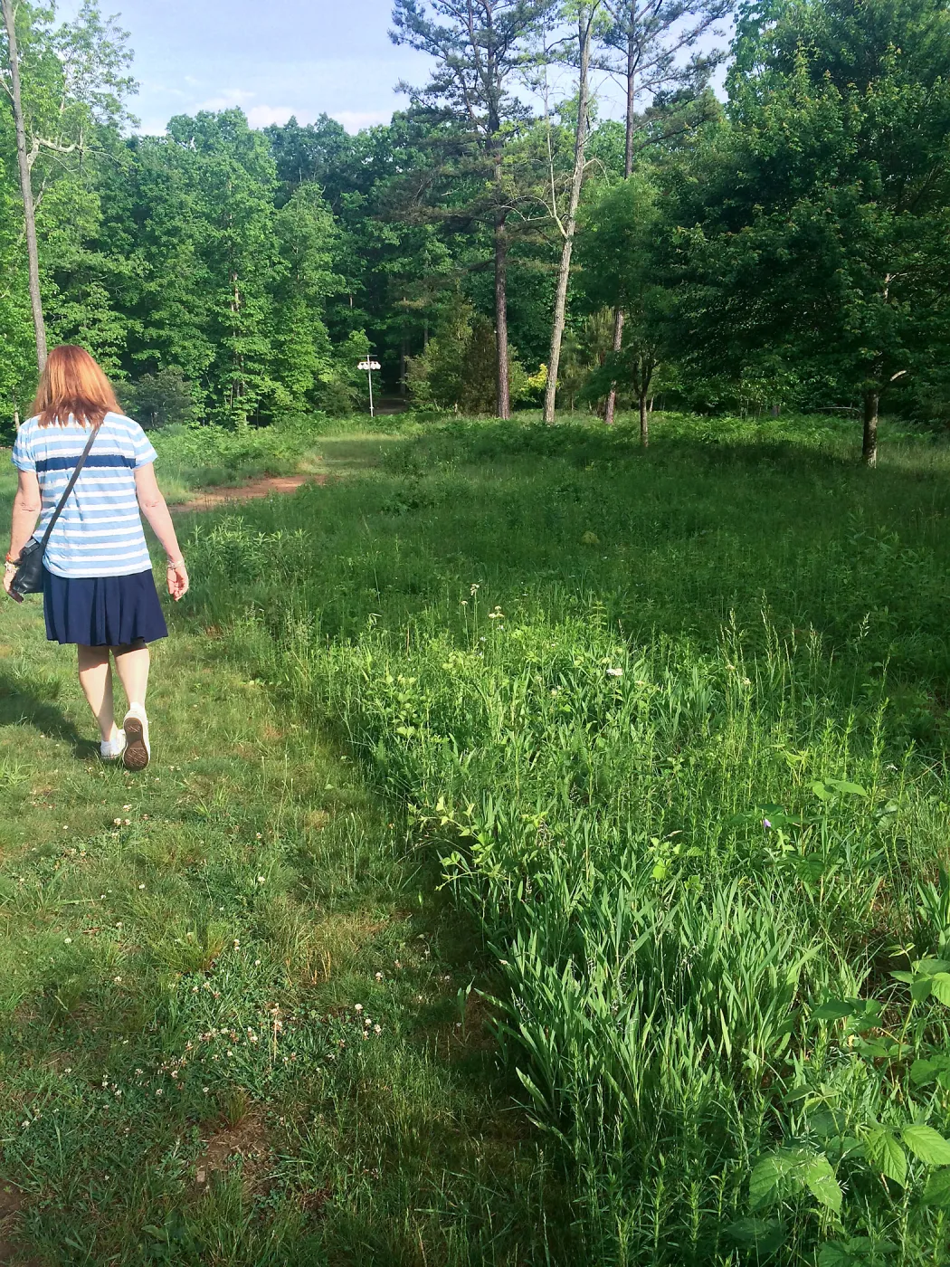 North Carolina Arboretum, mown path