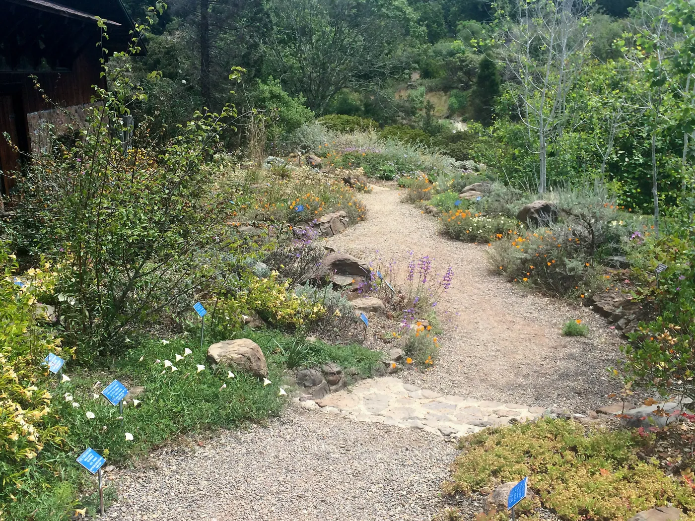 Tilden Regional Parks Botanic Garden