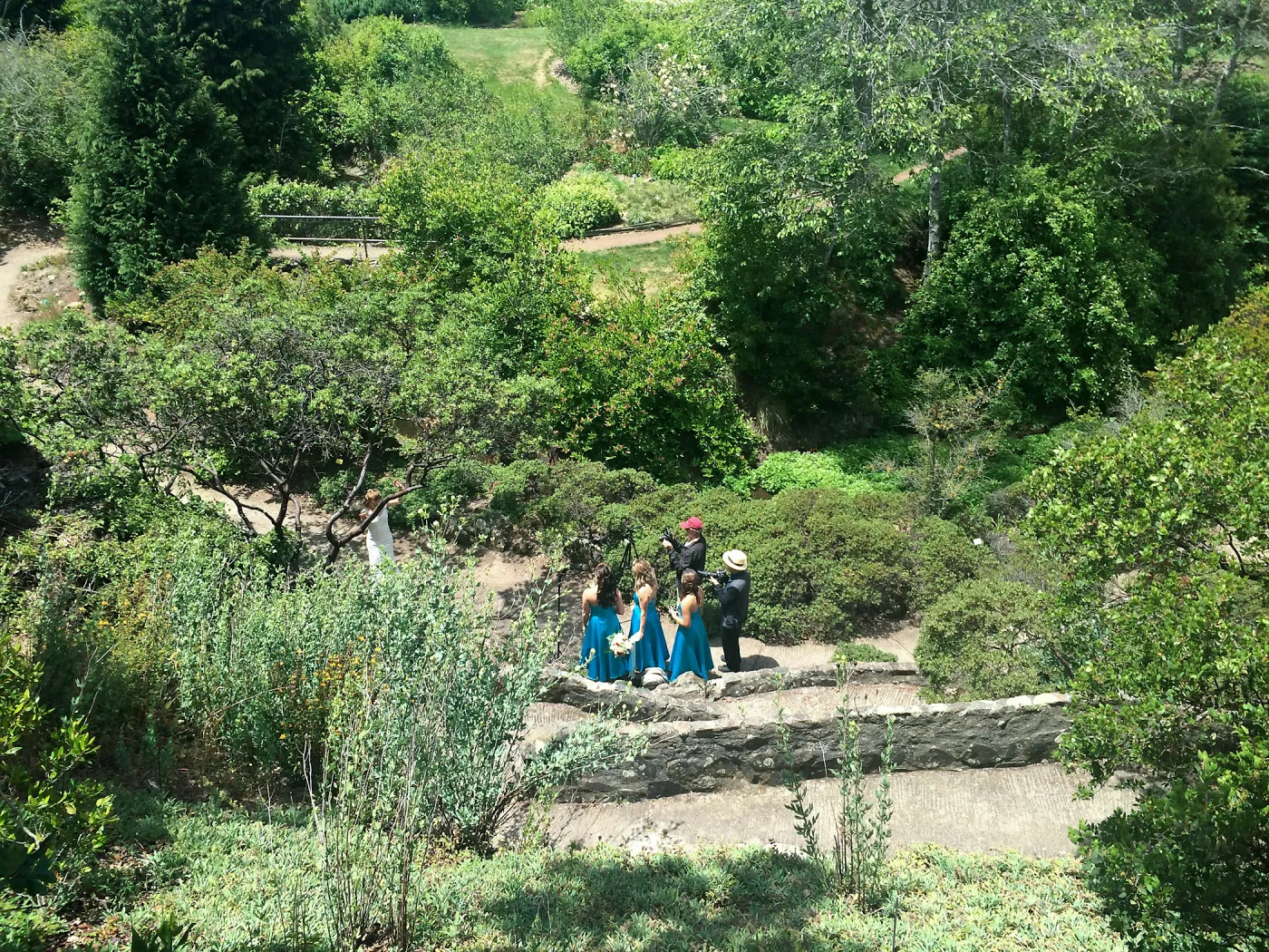 Wedding at the Tilden Regional Parks Botanic Garden