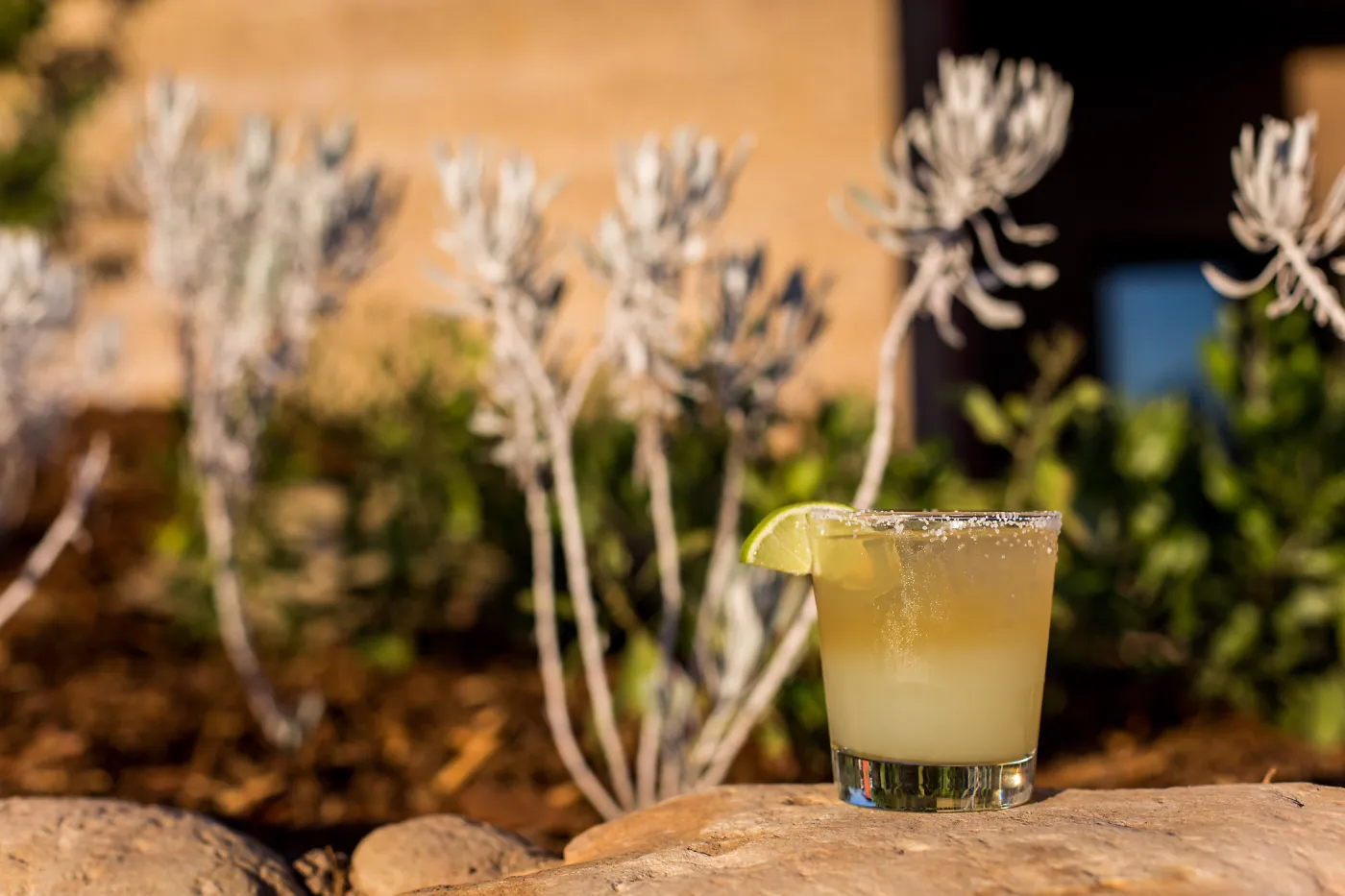 Tequila Sunset 2016