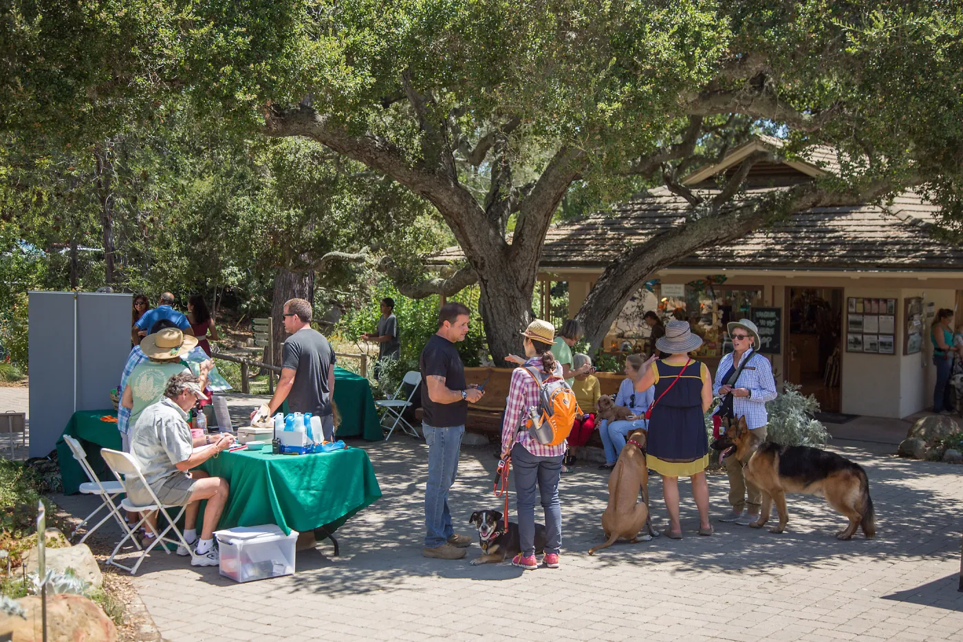 Trails â€˜n' Tails 2016