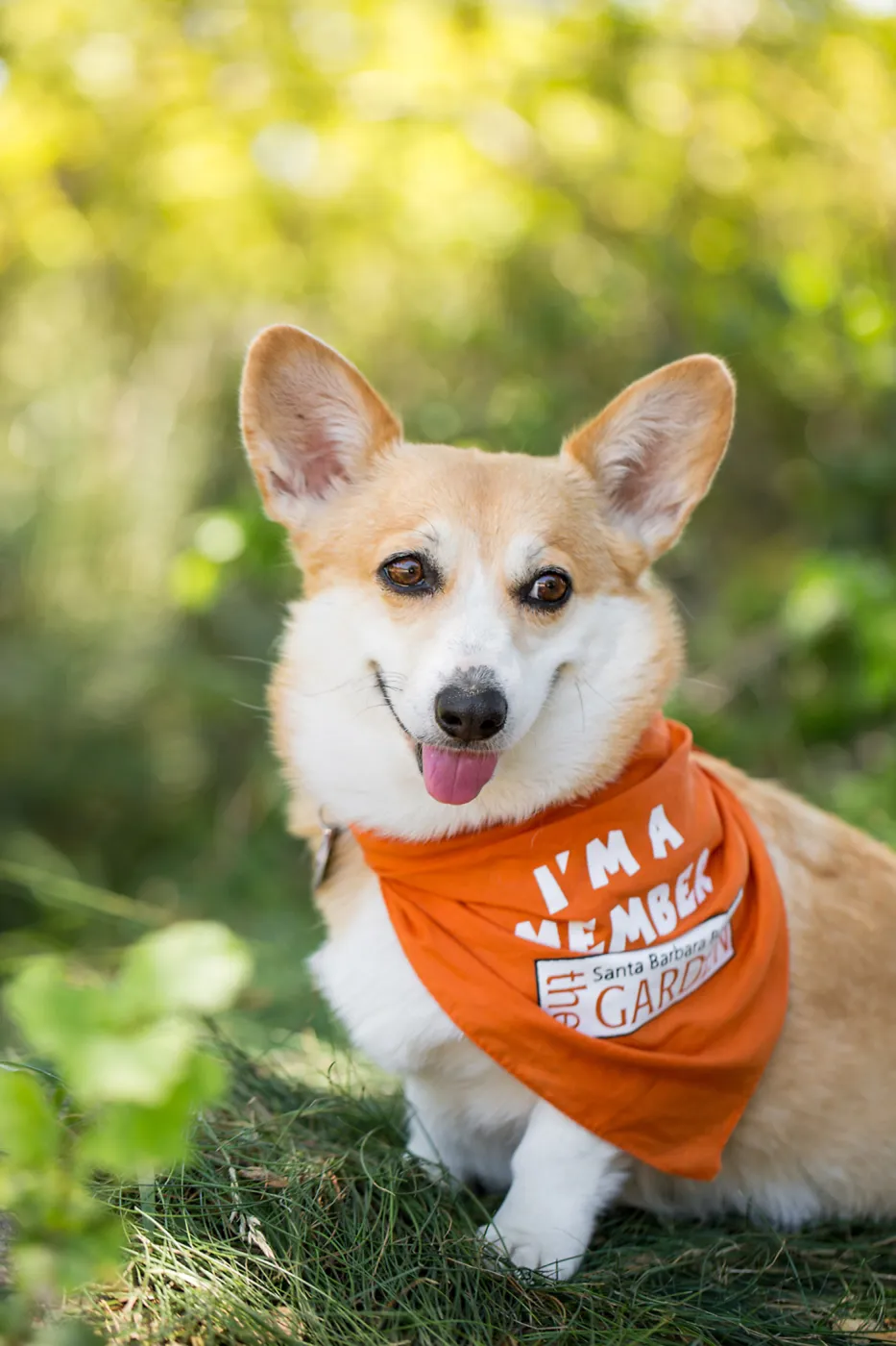 Trails â€˜n' Tails 2016