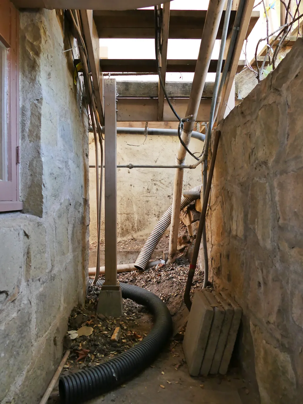 Herbarium steps removed for fumigation