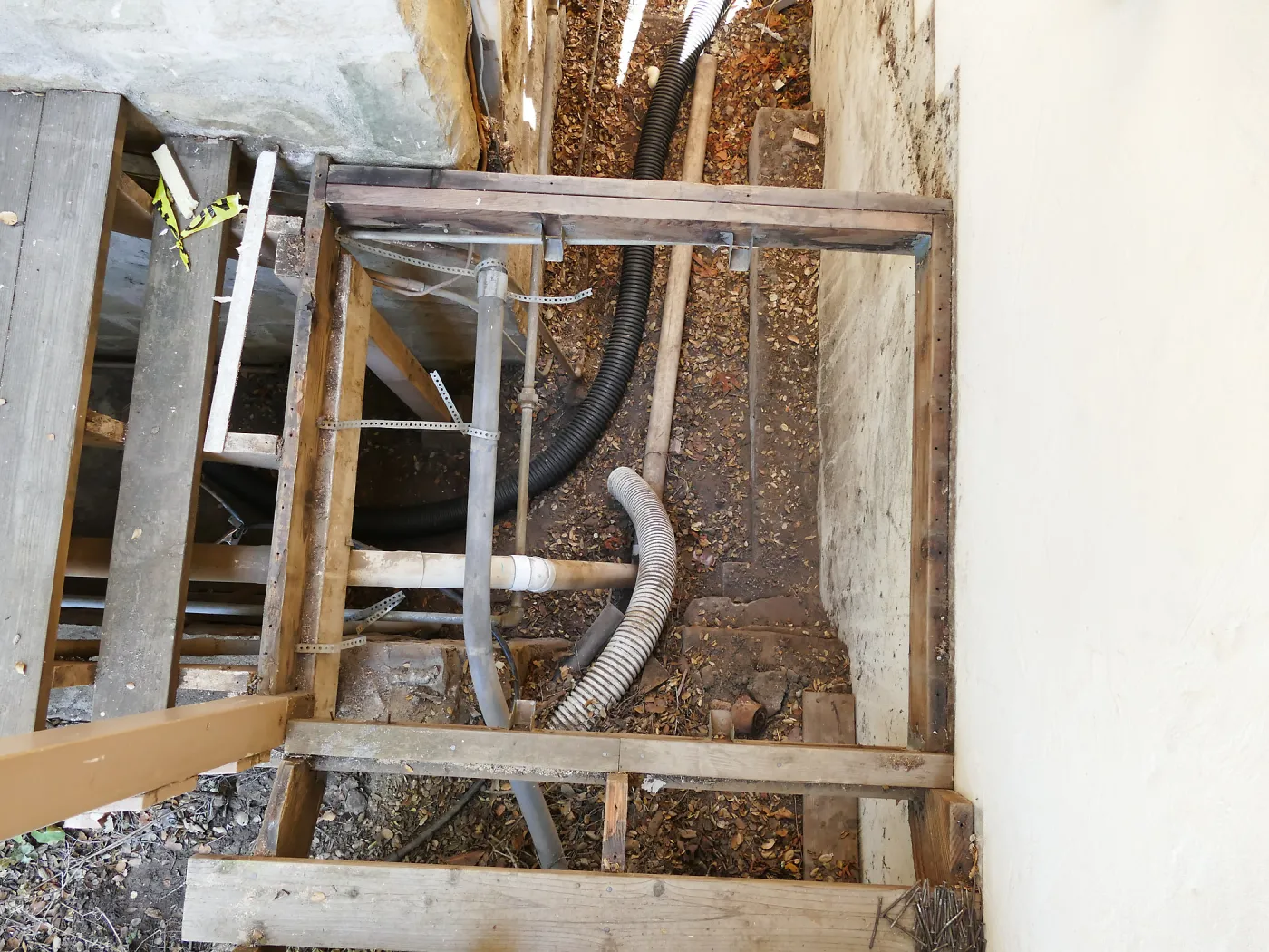 Herbarium steps removed for fumigation