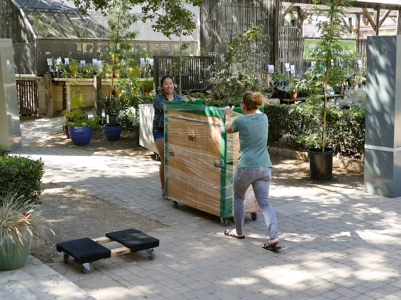2016 Herbarium Collection Move