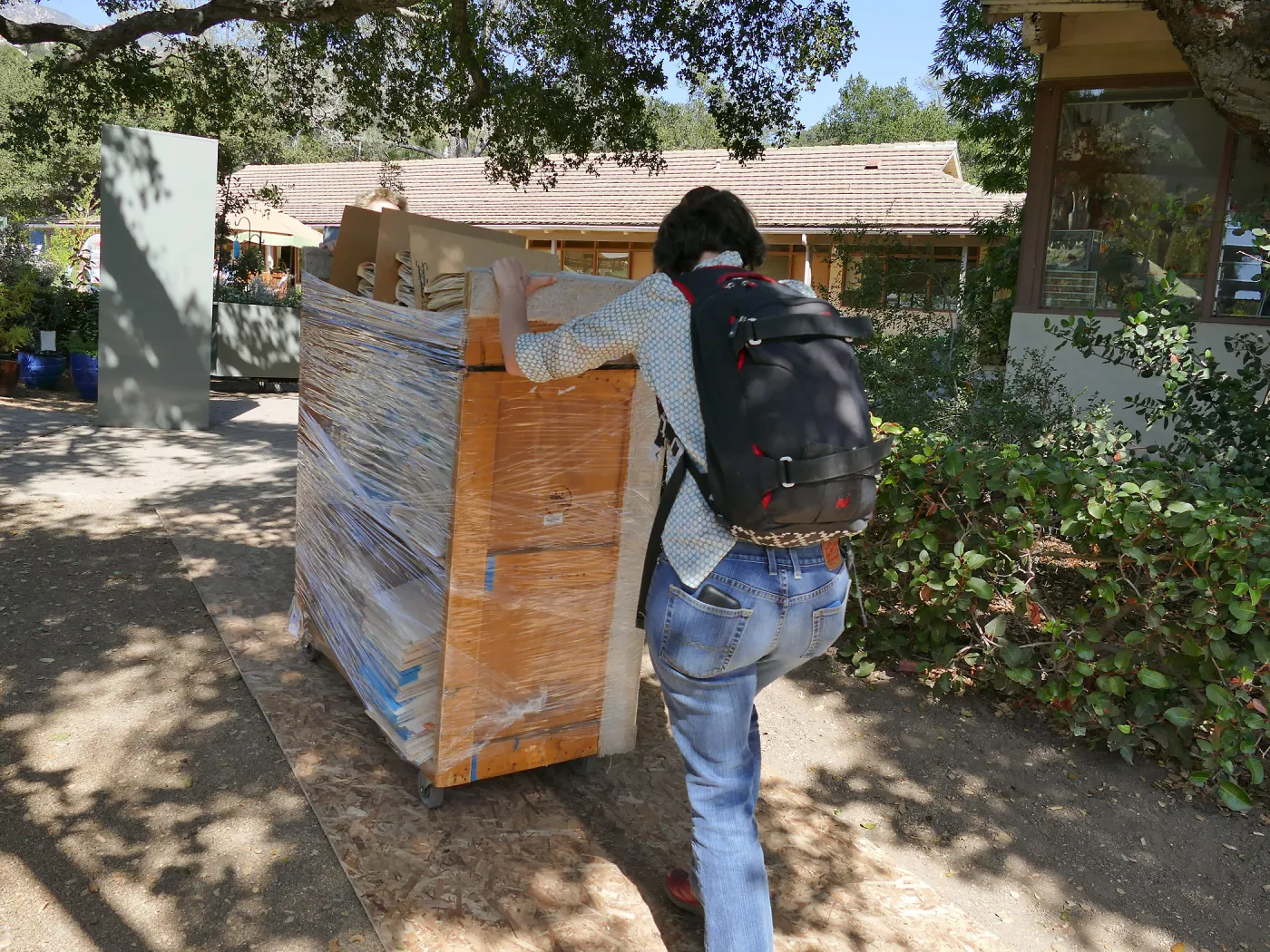 2016 Herbarium Collection Move